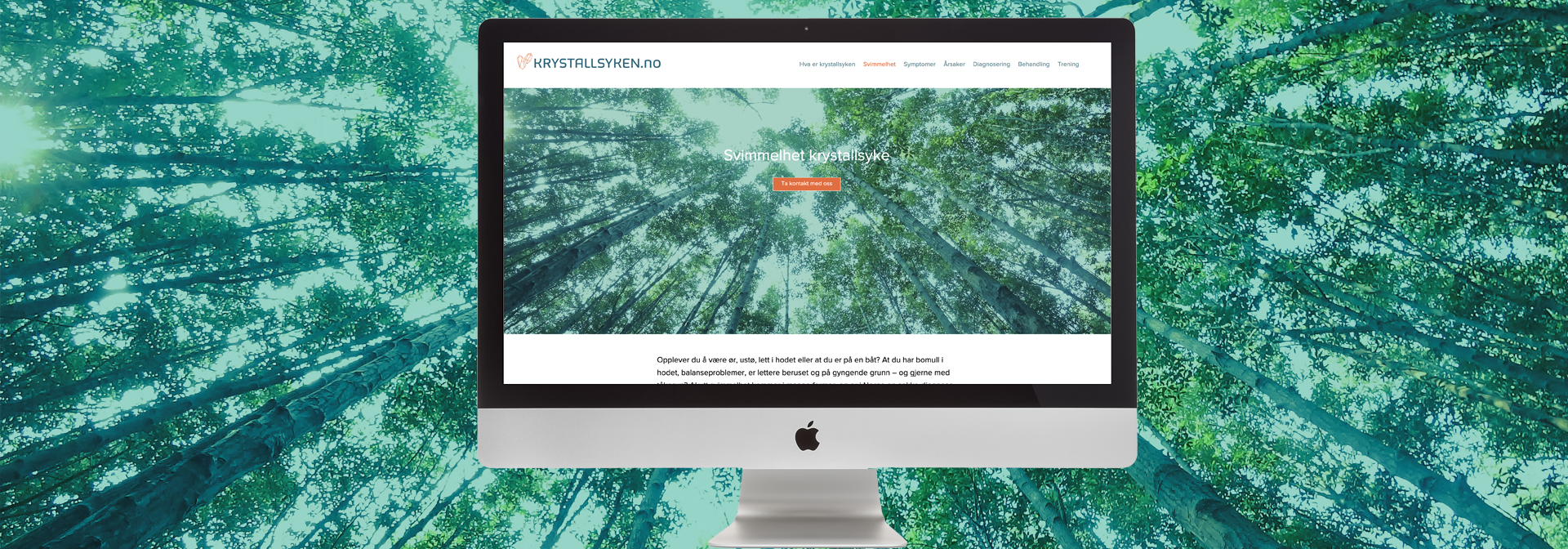createurene-webdesign_krystallsyken